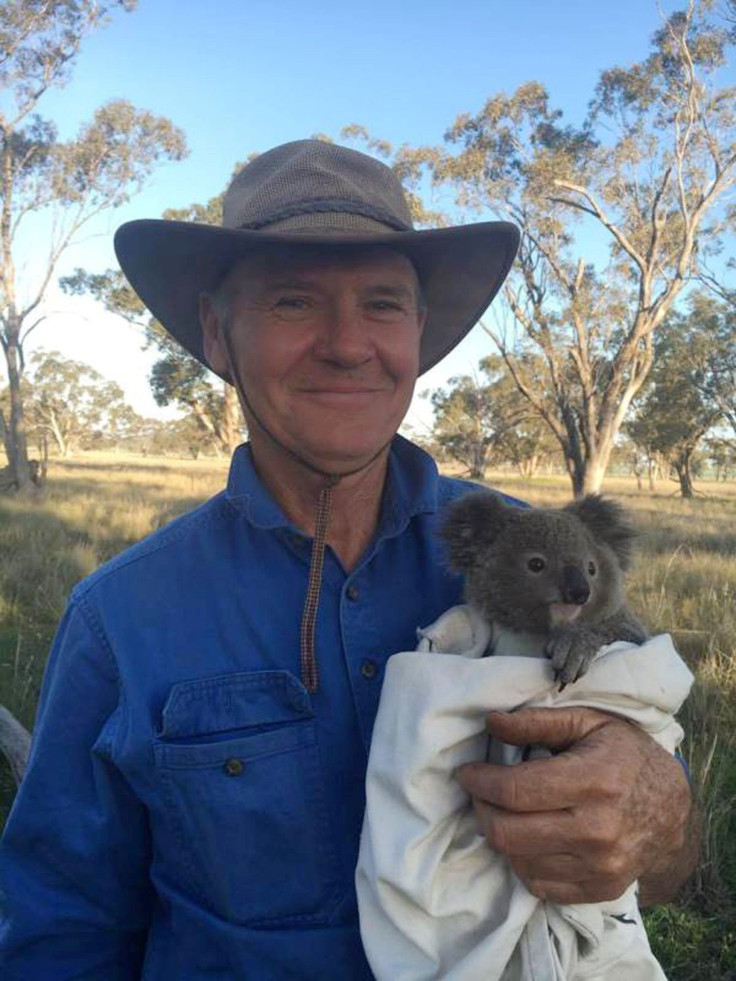 Australian farmer and koala