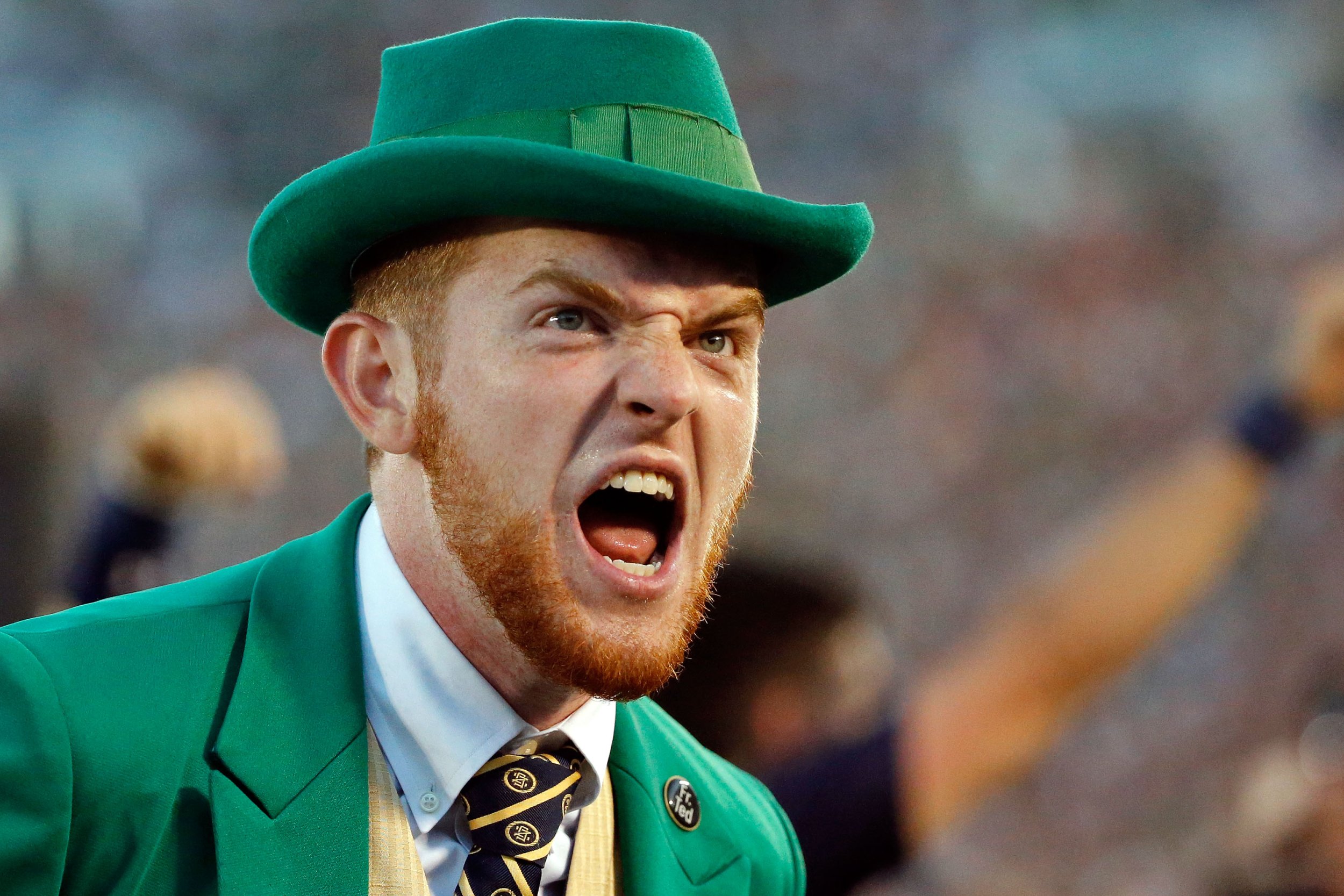 real life leprechaun pictures