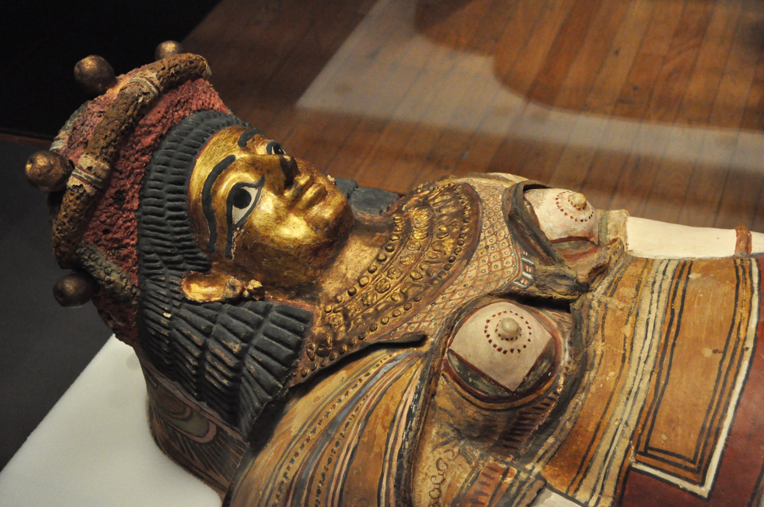  Mummies Brings Dead Back To Life At Natural History Museum Learn 