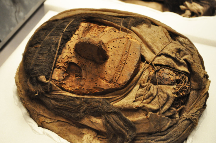 mummies-amnh-exhibit-08_031617