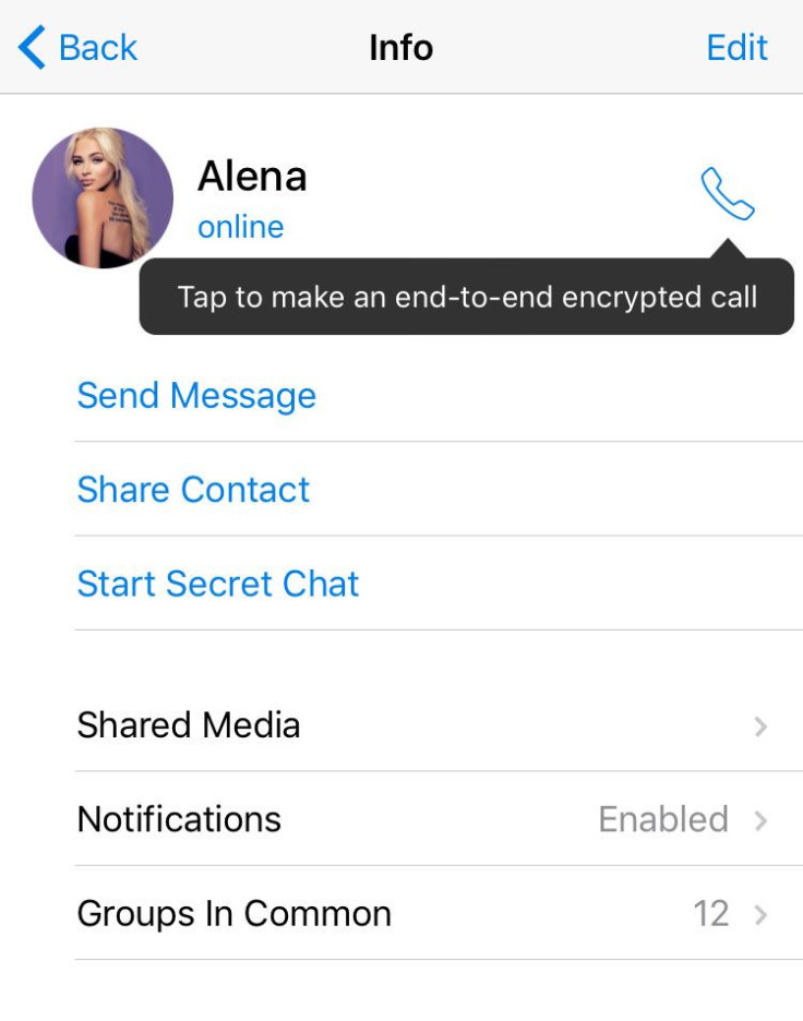 voice call phone icon telegram