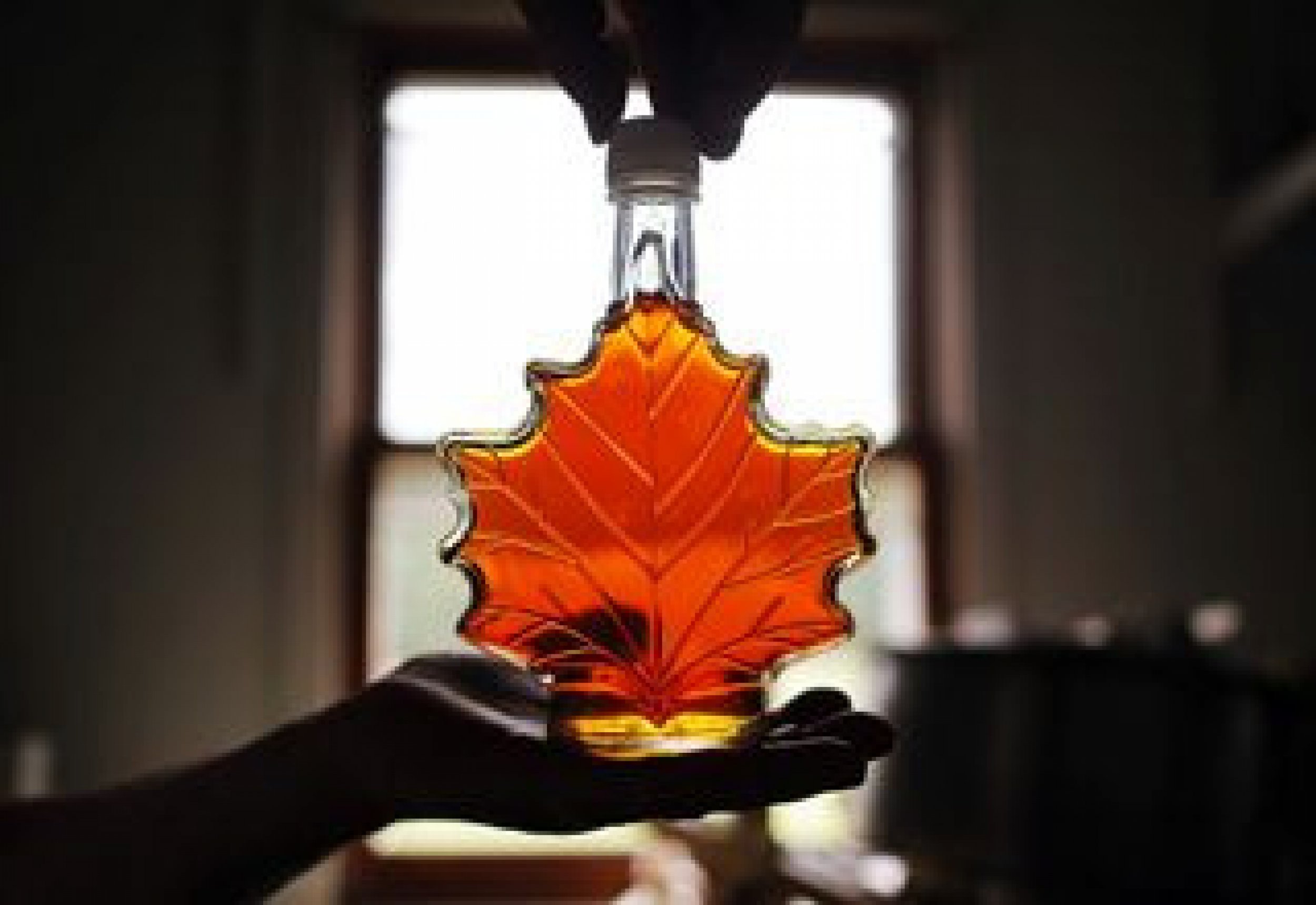 How To Properly Observe National Maple Syrup Day