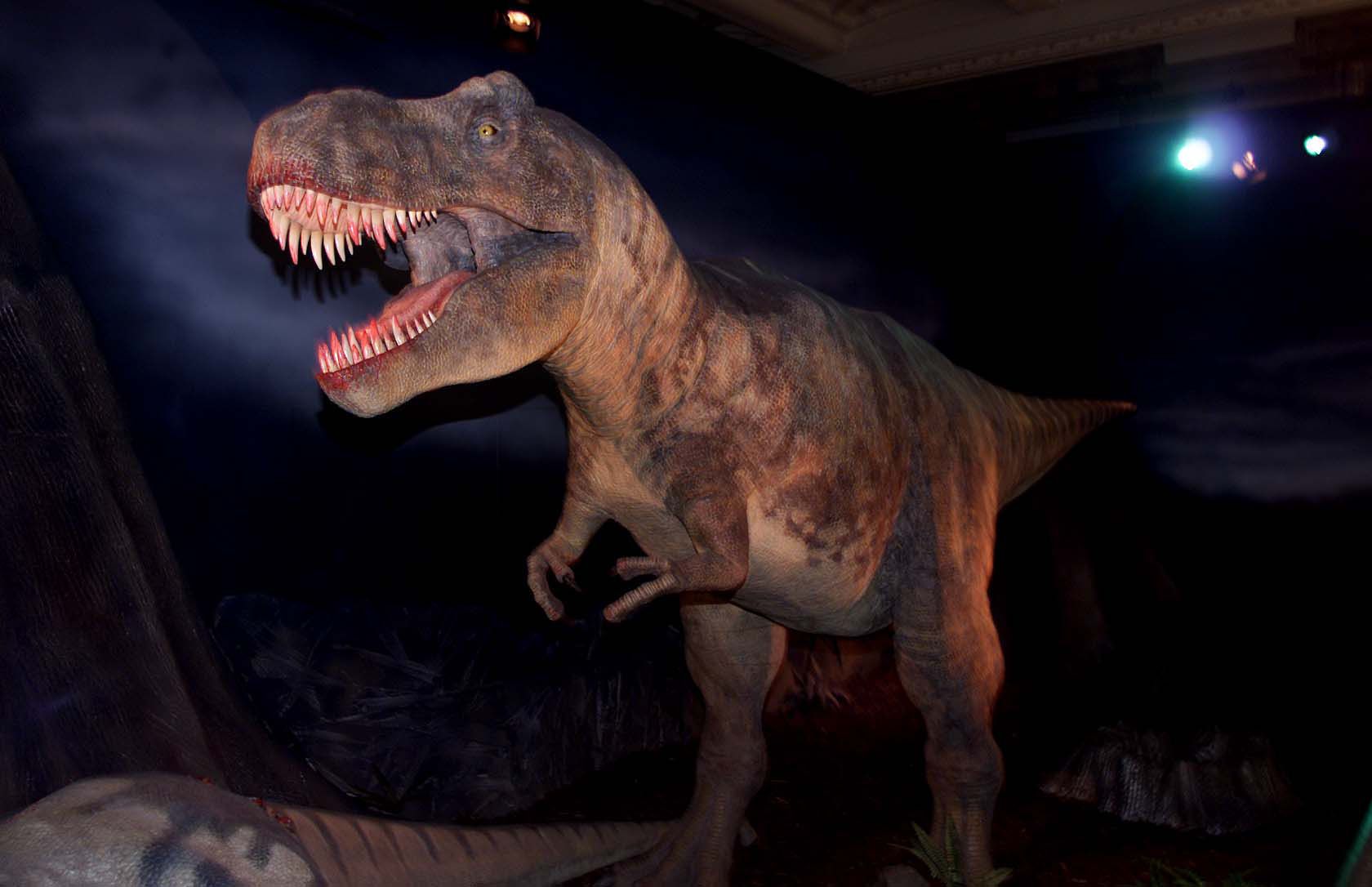 Dinosaurs Like Tyrannosaurus Rex Were Gentle Lovers Engaged In