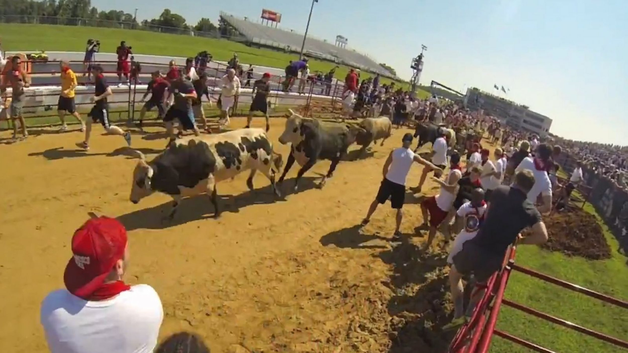 Raw Video The Great Bull Run Brings Running With The Bulls To America