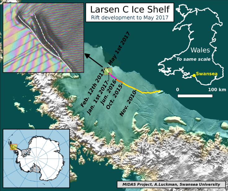 LarsenCBranch