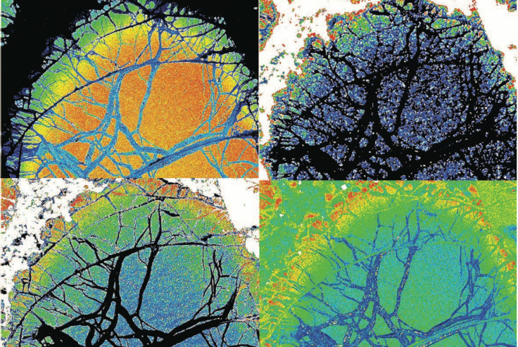 OlivineChemicalMaps2