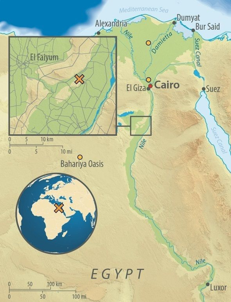 egypt-map