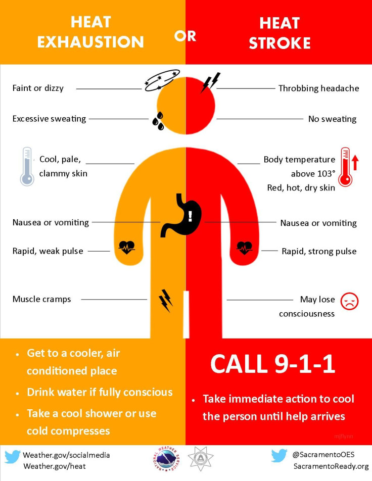 heat illness chart