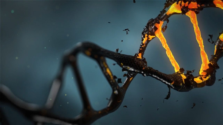 dna-1903875_1280