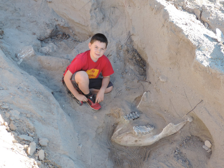 kid found fossil