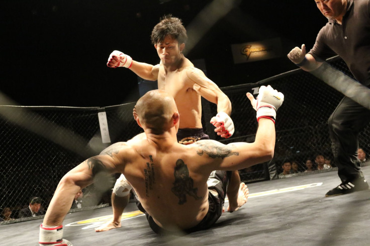 mixed-martial-arts-1455901_1920