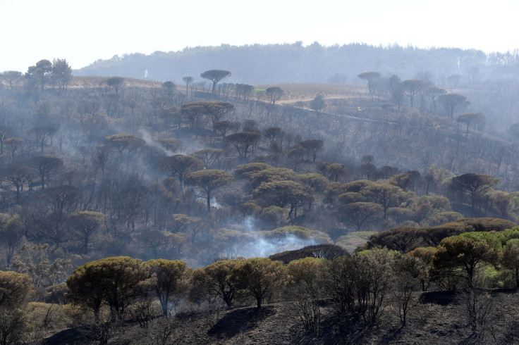 France wildfire