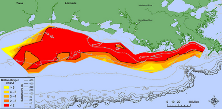 noaa dead zone