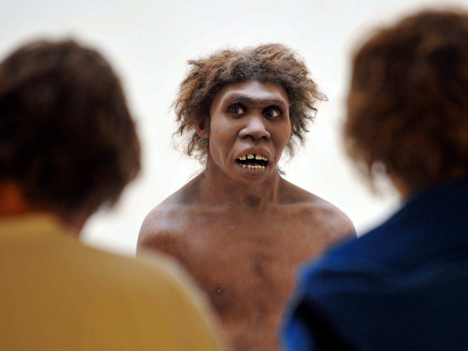 did neanderthals smoke tobacco tolerance gave humans an evolutionary advantage over Neanderthal DNA In Humans Affects