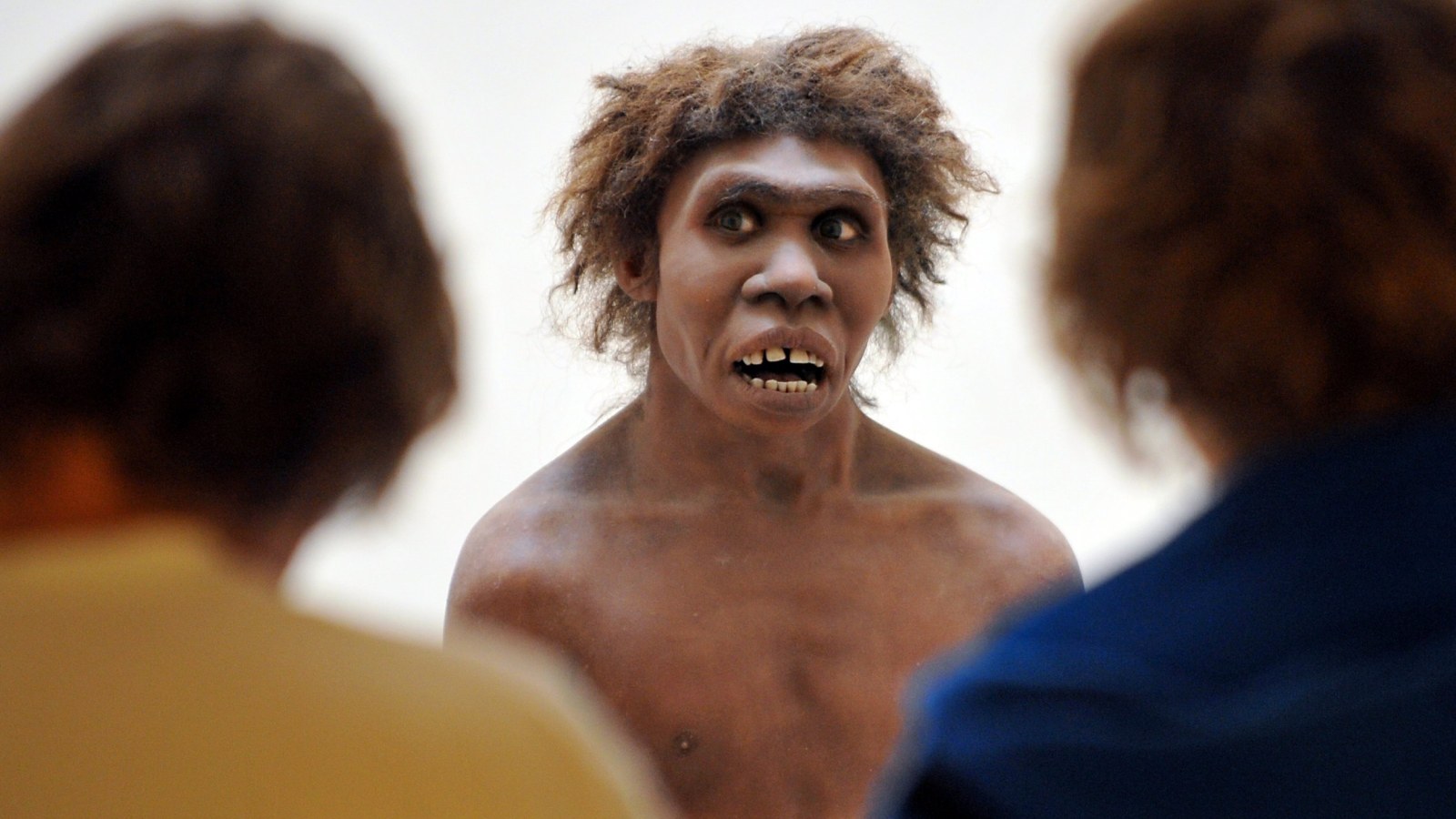 did neanderthals smoke tobacco tolerance gave humans an evolutionary advantage over Neanderthal behavior - Wikipedia