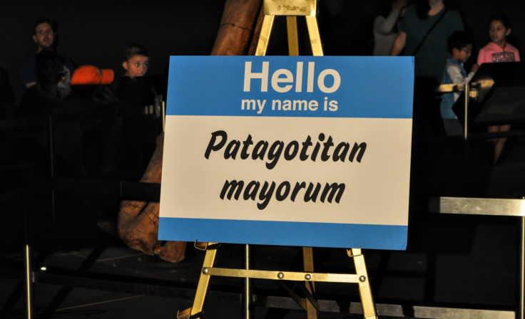 patagotitan-mayorum-080917-04