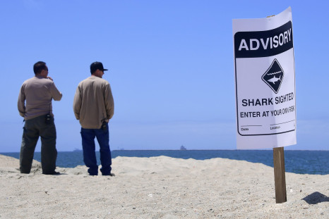 Shark warning sign
