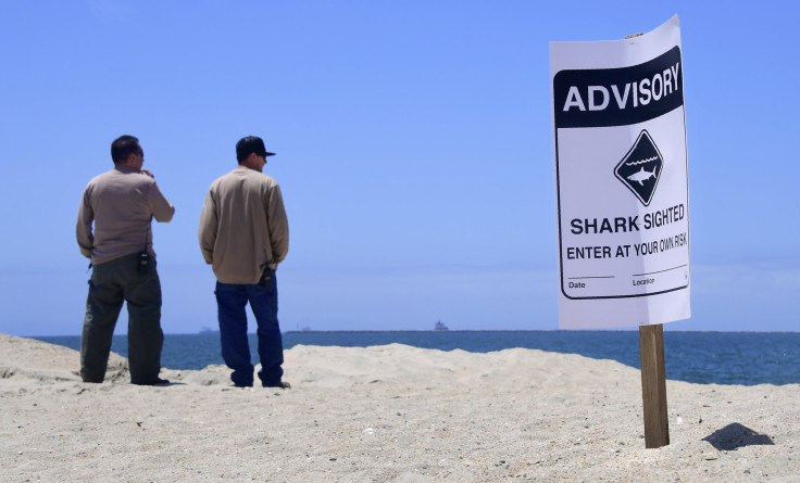 Shark warning sign