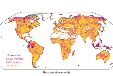 drought recovery