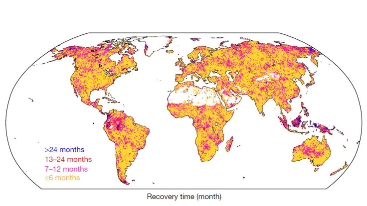 drought recovery