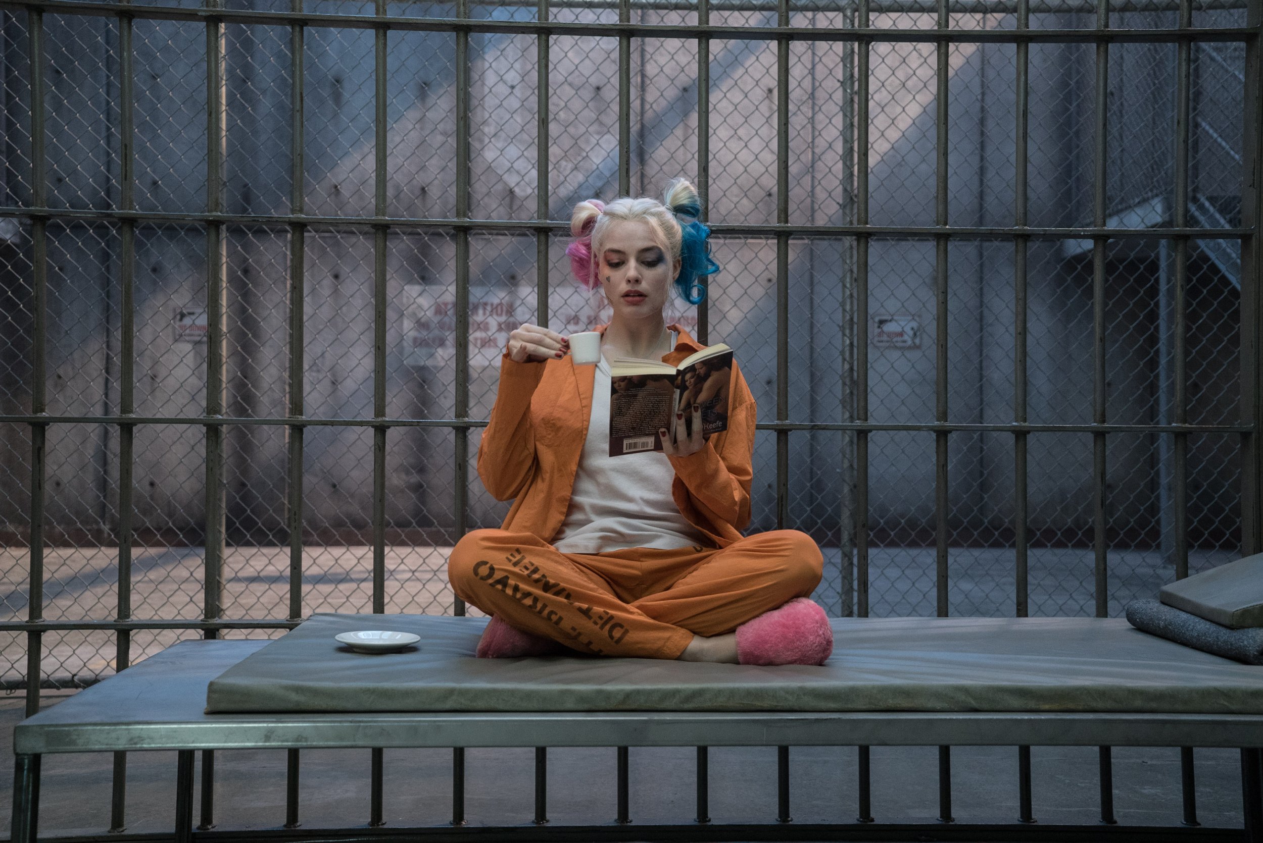 Harley Quinn Movies See Margot Robbies Upcoming Dceu Films Ibtimes