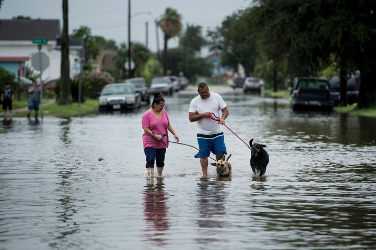 Hurricane Harvey