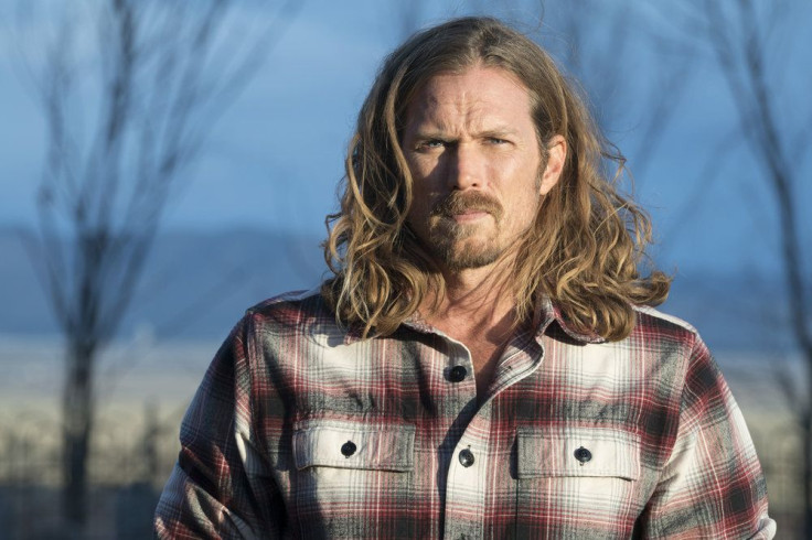 Jason Lewis as Joe