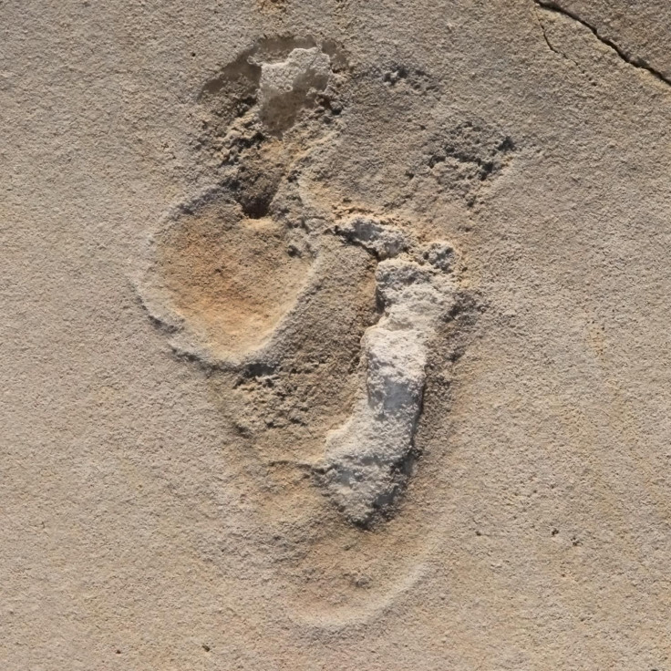 human-fossil-footprints2