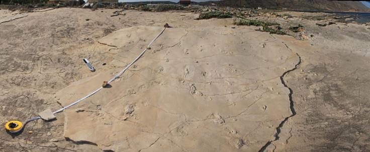 human-fossil-footprints