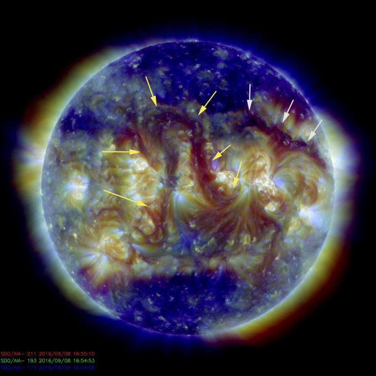 elongated filaments sun