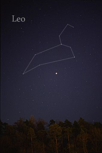 Leo-constellation