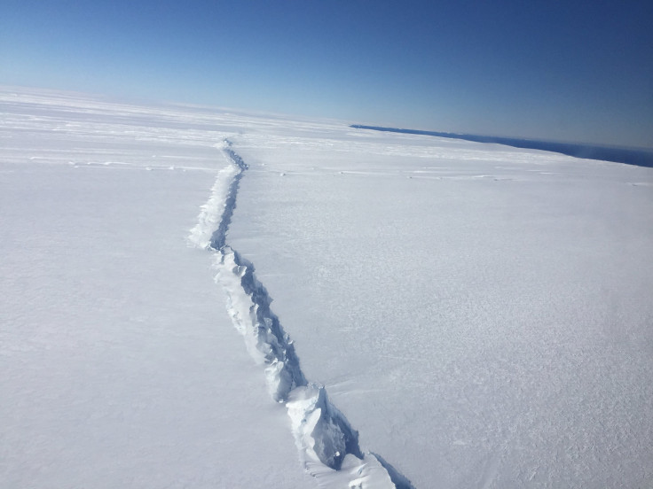 pine island ice rift