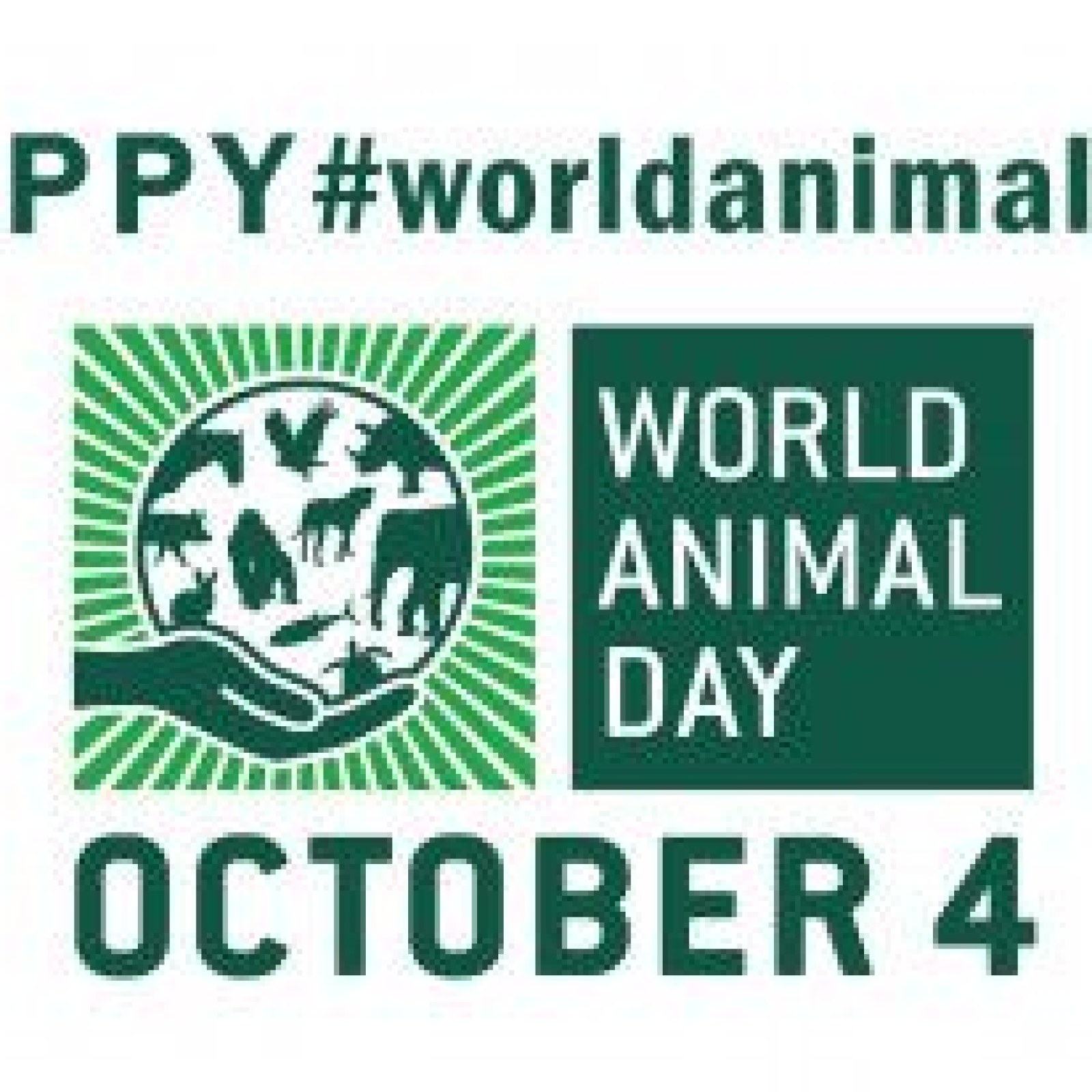 World Animal Day 2017: Facts And Quotes For Promoting Their Welfare