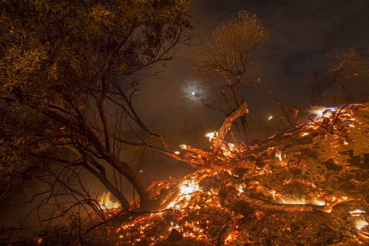 wildfire-california