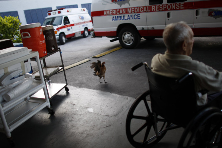 Florida hospital