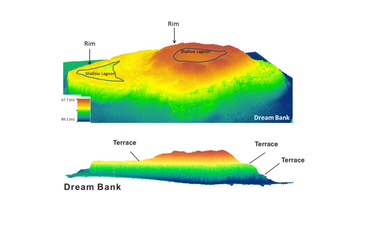 Reef Terraces