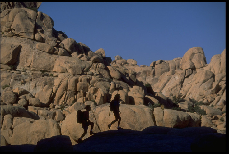 Joshua Tree Hikers