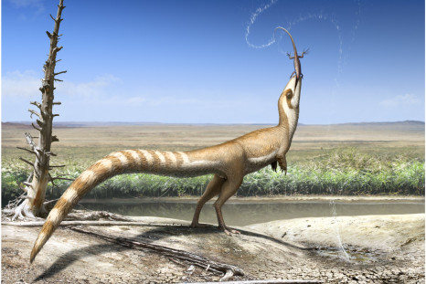 sinosauropteryx-feather-dino