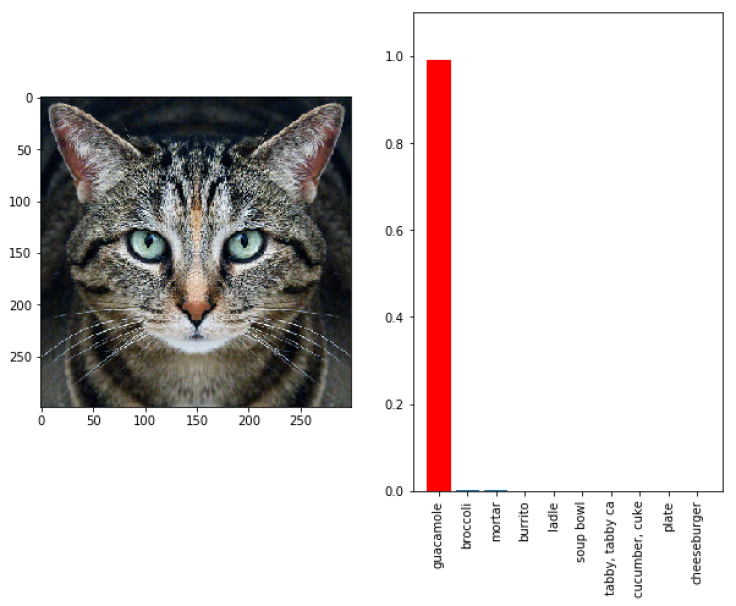 cat_adversarial