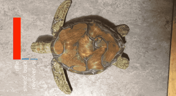 rifle_turtle