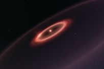 Proxima Centauri Dust Belts