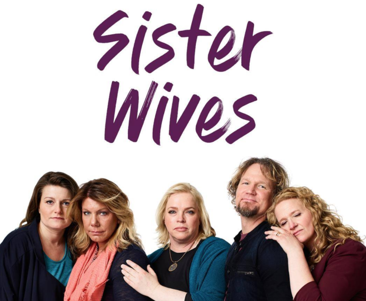 sister wives family