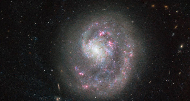 dwarf galaxy NGC 4625 hubble