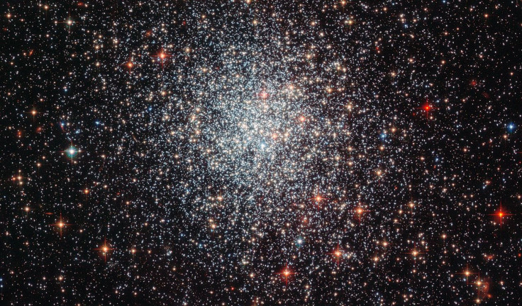 youthful hubble cluster NGC 1783