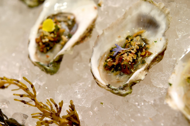 Oysters