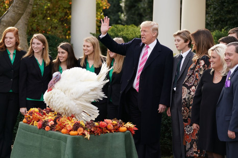 Trump turkey 