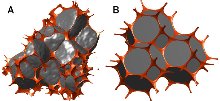 Melt Networks