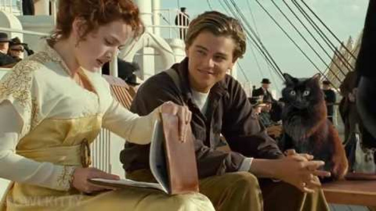 Kate Winslet Replaced with Cat in Hilarious 'Titanic' Spoof Video