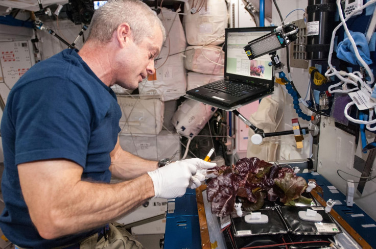 iss lettuce working space station