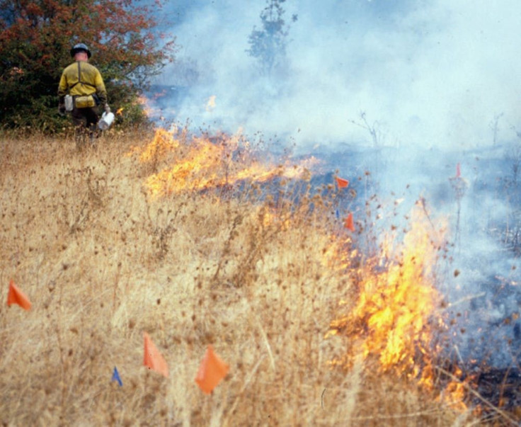 Oregon Fire